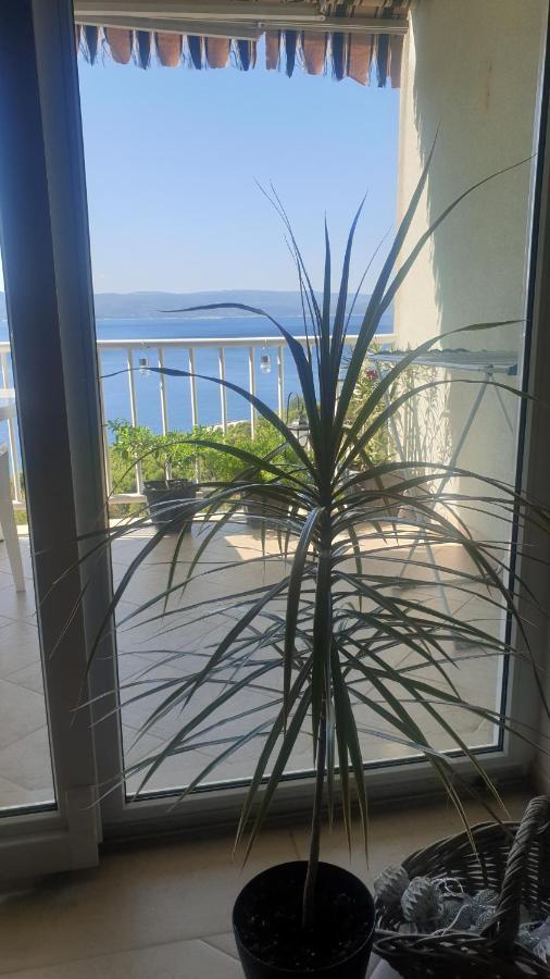 Apartment Diwa بريلا المظهر الخارجي الصورة